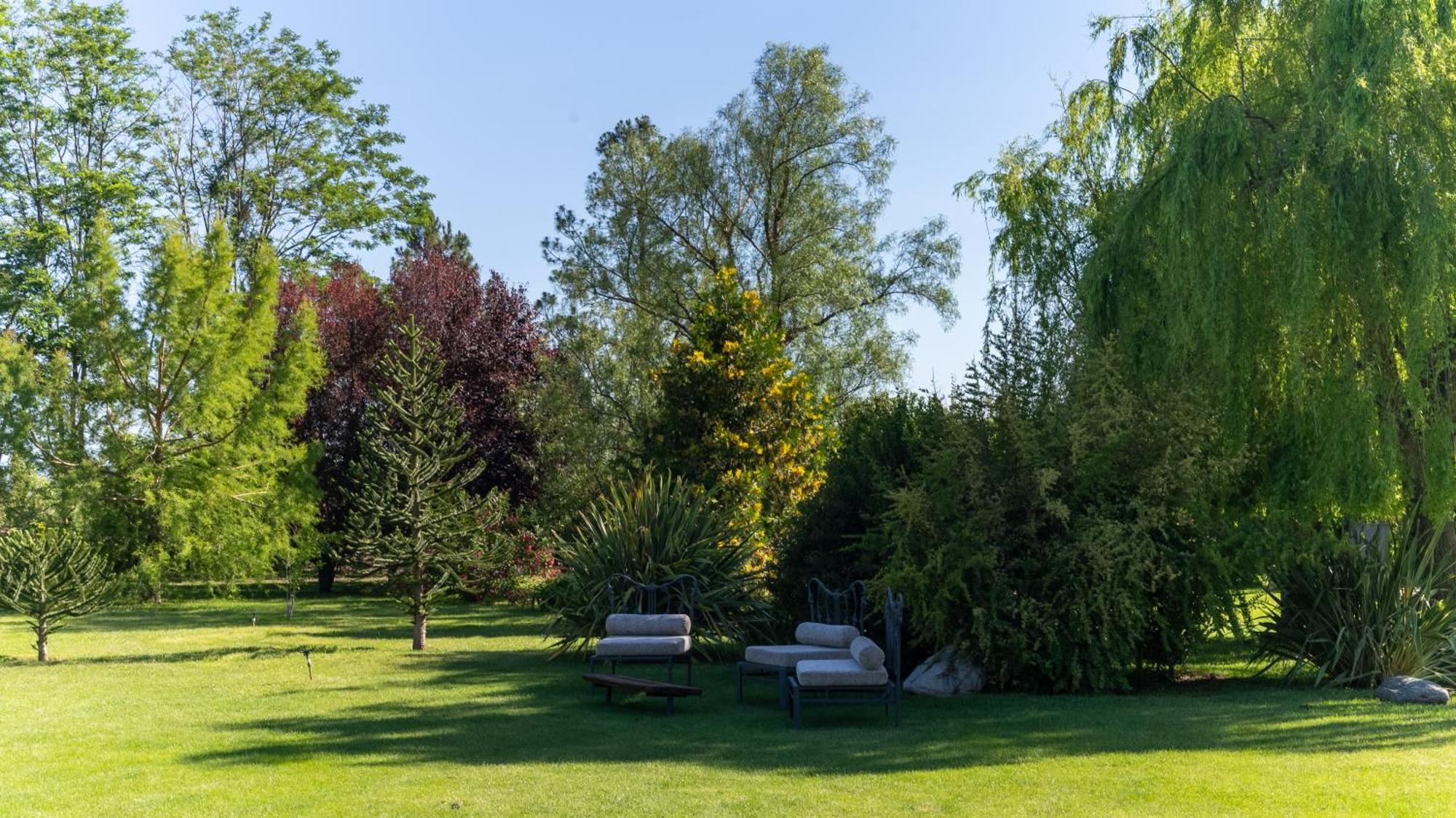 Casa De Huespedes La Azul Konuk evi Los Árboles Dış mekan fotoğraf